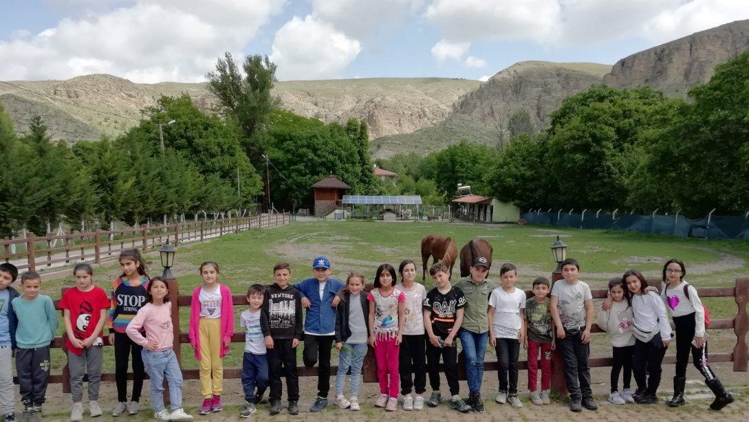 Bayramören Nevzat AYAZ İlkokulu Öğrencileri İlk Defa Ata Binme Heyecanını Yaşadılar