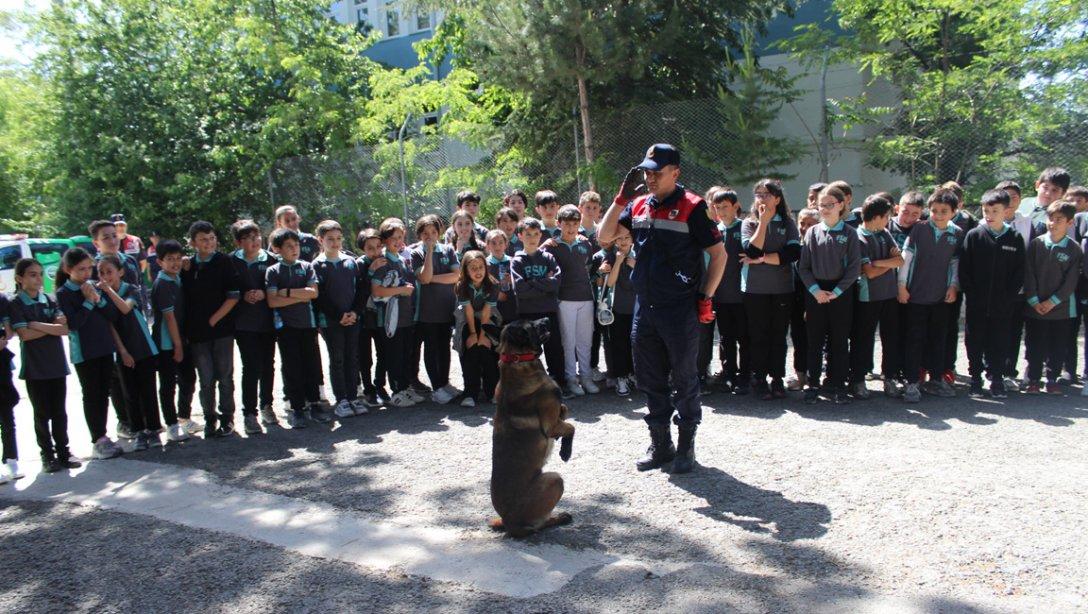 Ilgaz FSM Ortaokulu Jandarma Tanıtım Etkinliğinde		